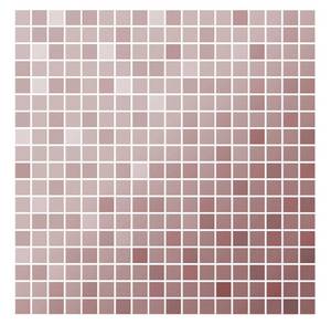 Imagen del producto STEEL COPPER